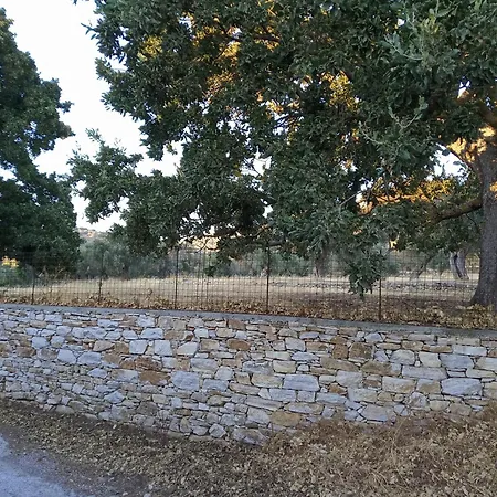 Lux Of Naxos Holiday home Khalkion